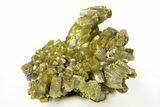 Lustrous Forest-Green Pyromorphite Crystal Cluster - China #260964-1